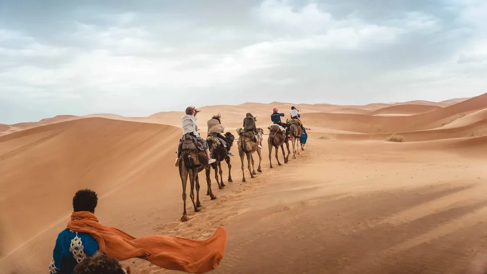Camels in the sand dunes of Morroco