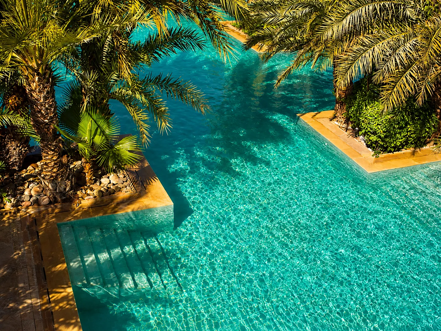 Club Med 1