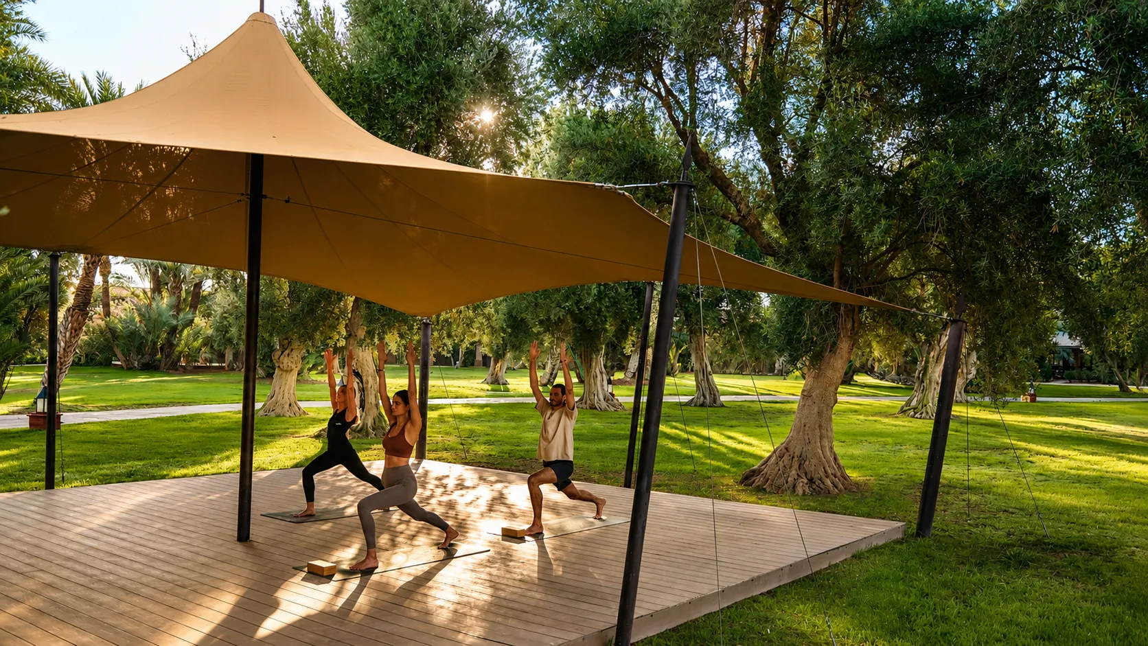 Club Med 2